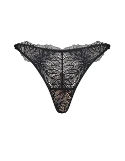 Stringi Celeste